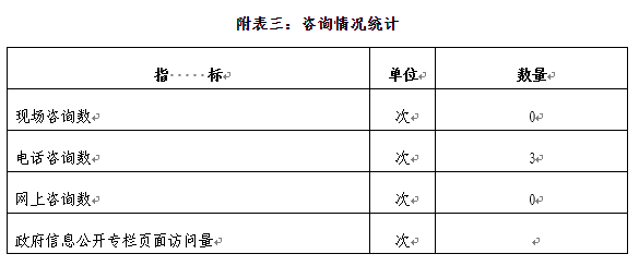 附表三：咨询情况统计