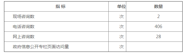 附表三：咨询情况统计