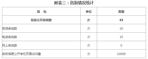 附表三：咨询情况统计