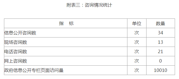 附表三：咨询情况统计