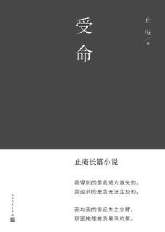 《受命》 止庵 著 人民文学出版社