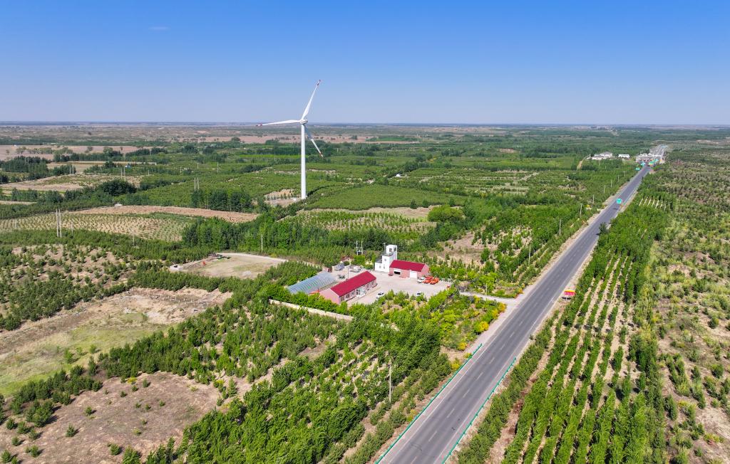 在内蒙古通辽市，科尔沁沙地正渐渐披上绿装。