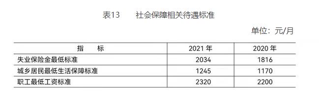 表13 社会保障相关待遇标准.jpg