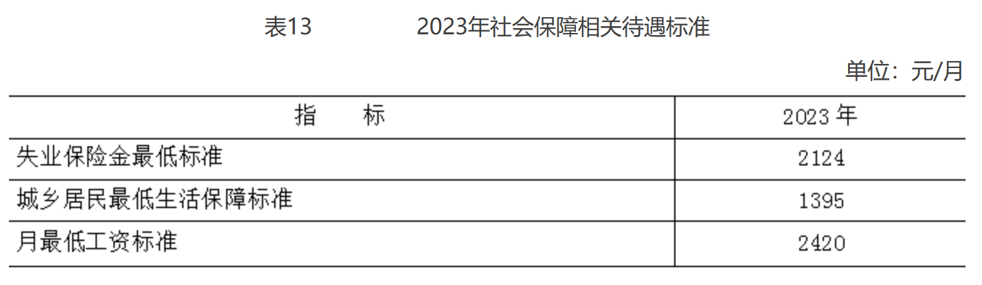 表13 2023年社会保障相关待遇标准